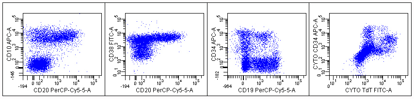 Image 1 flow cytometric phenotype
